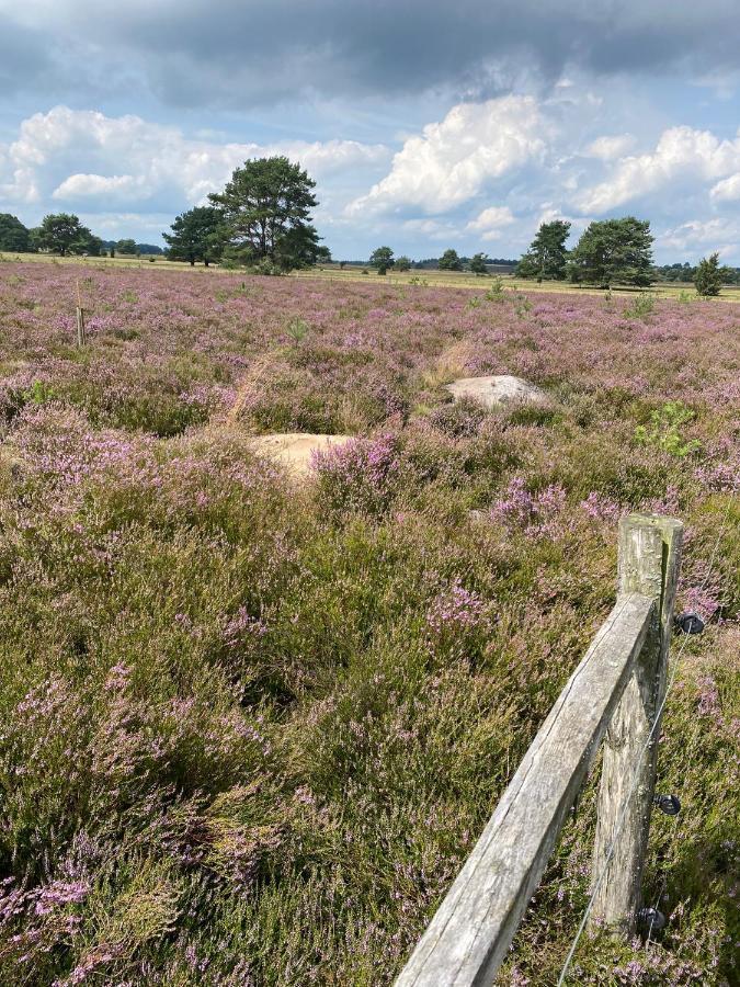 Holiday In Der Lueneburger Heide Bispingen Ngoại thất bức ảnh